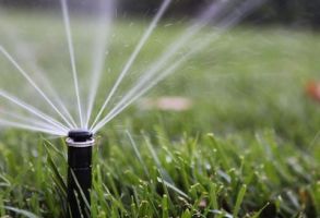 drip irrigation los angeles RotoTillerGuy ; Landscape Contractor | Sod | Sprinkler Installation & Repair