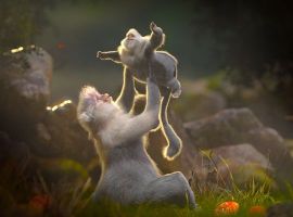 photoshop courses in los angeles Gnomon — School of Visual Effects, Games & Animation