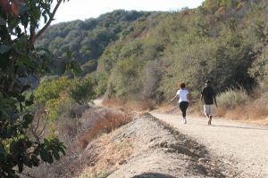 dog friendly parks in los angeles Westridge-Canyonback Wilderness Park