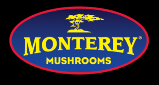 mushroom stores los angeles Monterrey Mushroom