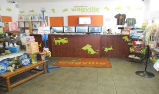dog grooming courses los angeles WagVille