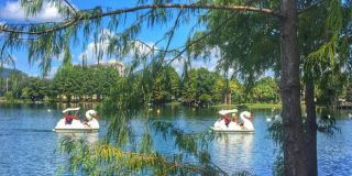 canoeing courses los angeles Wheel Fun Rentals | Lake Balboa Boat Rentals