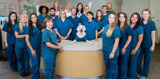 clinics dogs los angeles West Hollywood Animal Hospital