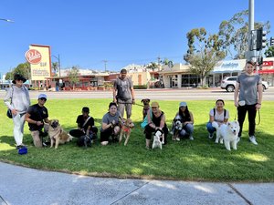 dog handlers in los angeles Good Dog K9 Training, LLC