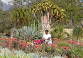 botanical gardens in los angeles Los Angeles County Arboretum
