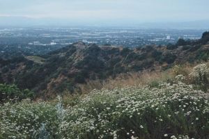 places to run los angeles San Vicente Mountain Park