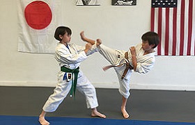 ninjutsu lessons los angeles Rokah Karate