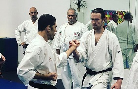 ninjutsu lessons los angeles Rokah Karate