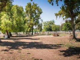 dog friendly parks in los angeles Sepulveda Basin Off-Leash Dog Park