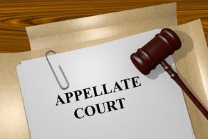 Our Los Angeles criminal appellate attorneys can help you appeal your felony or federal crime conviction.